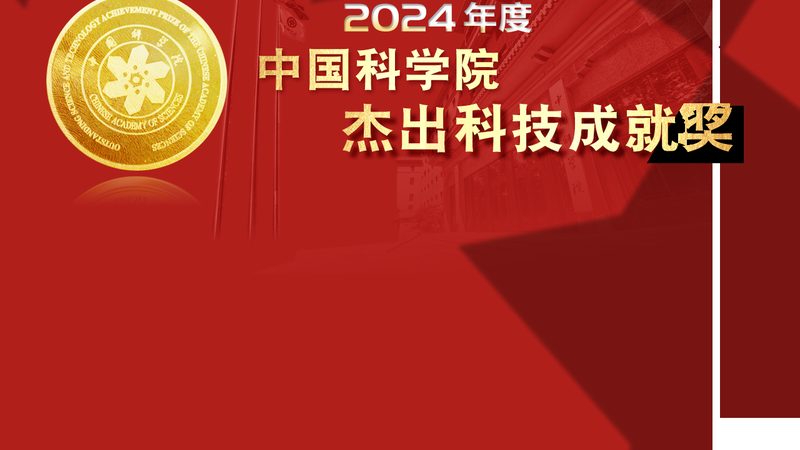 数据中台与数据仓库：本质区别与适用场景解析